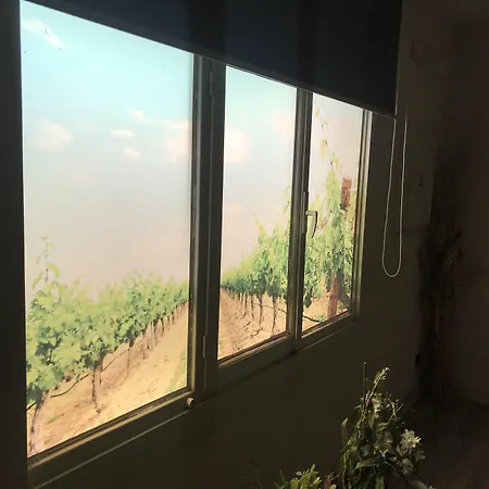 La Vina De 게스트하우스