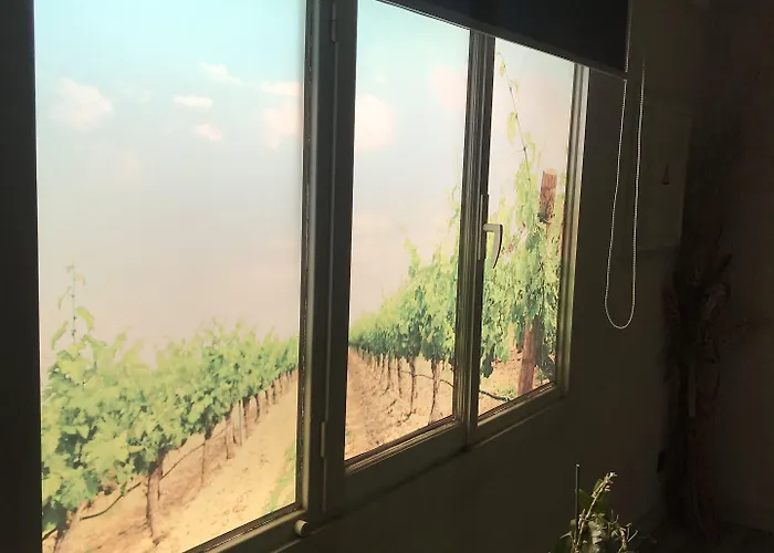 La Vina De 게스트하우스