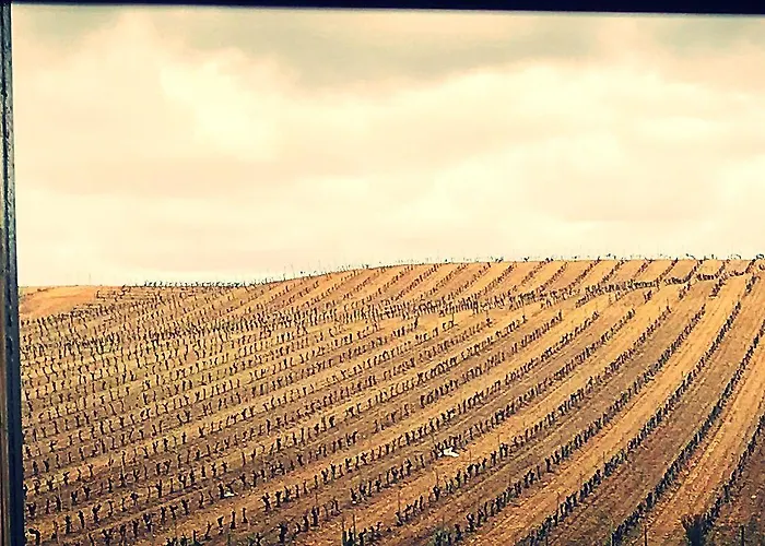 La Vina De 게스트하우스 루에다